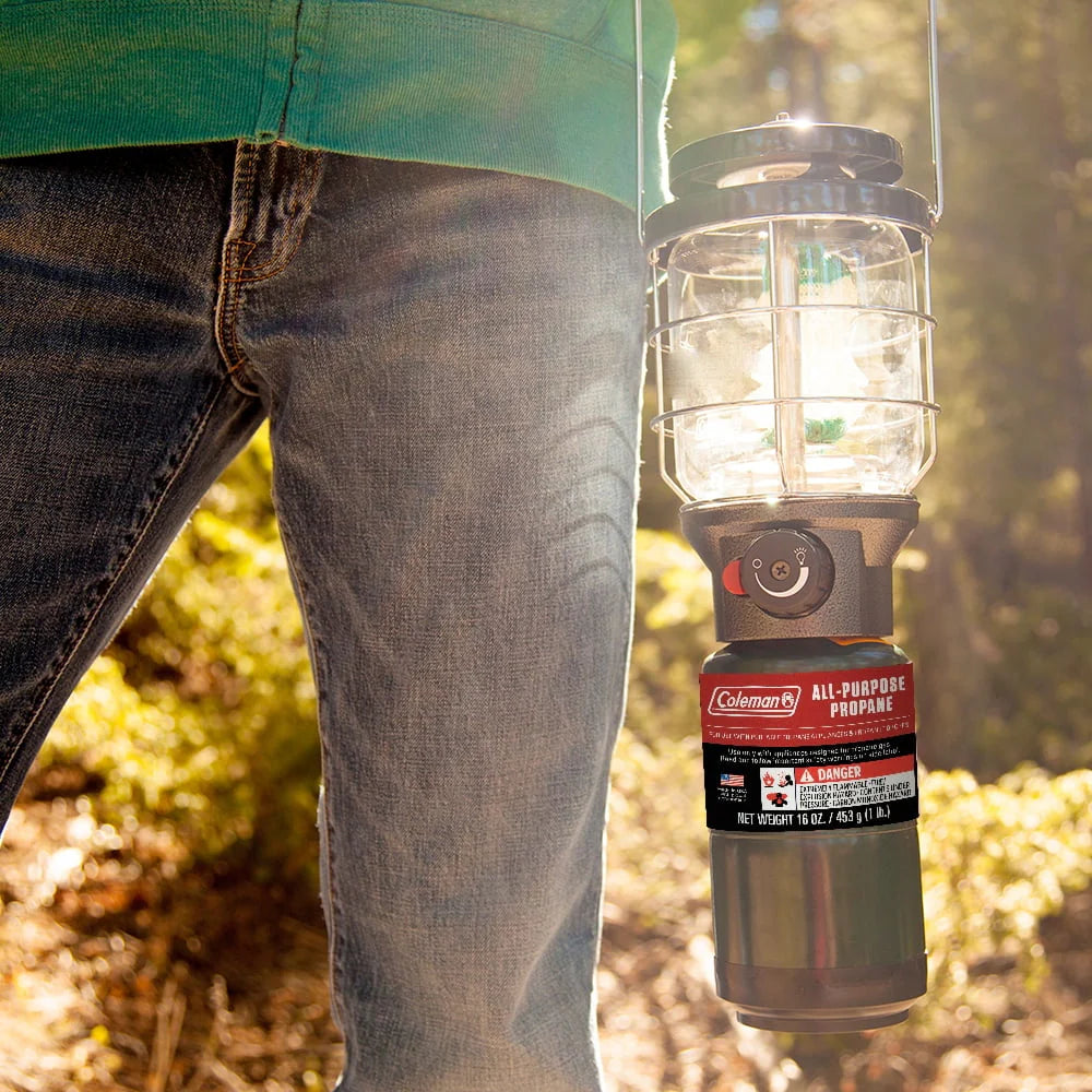 16 ounce 2-Pack Propane Gas Cylinder R50278