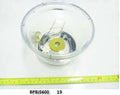 Juicing Bowl F862678
