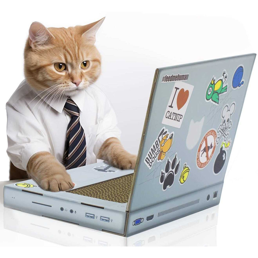 Cat Scratch Laptop J118739