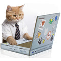 Cat Scratch Laptop J118739