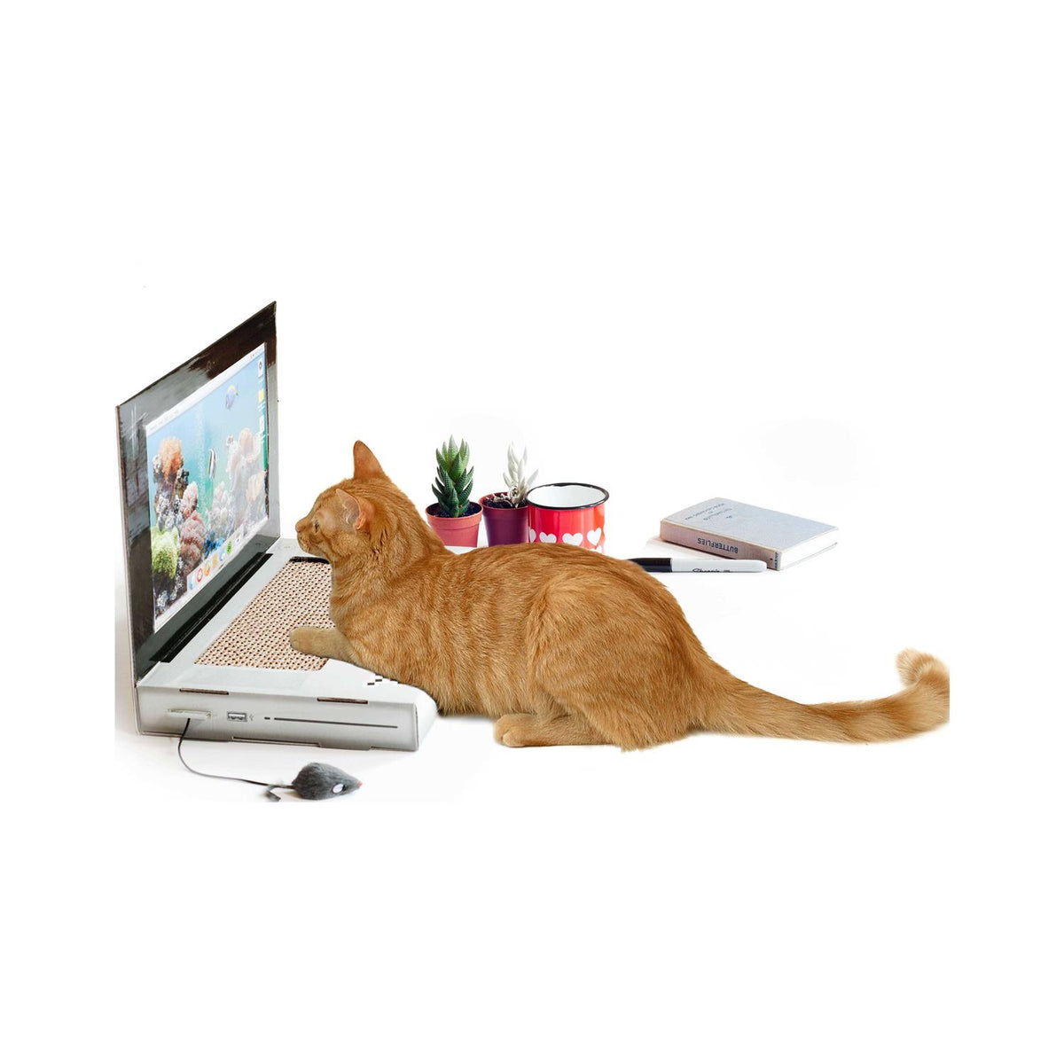 Cat Scratch Laptop J118739