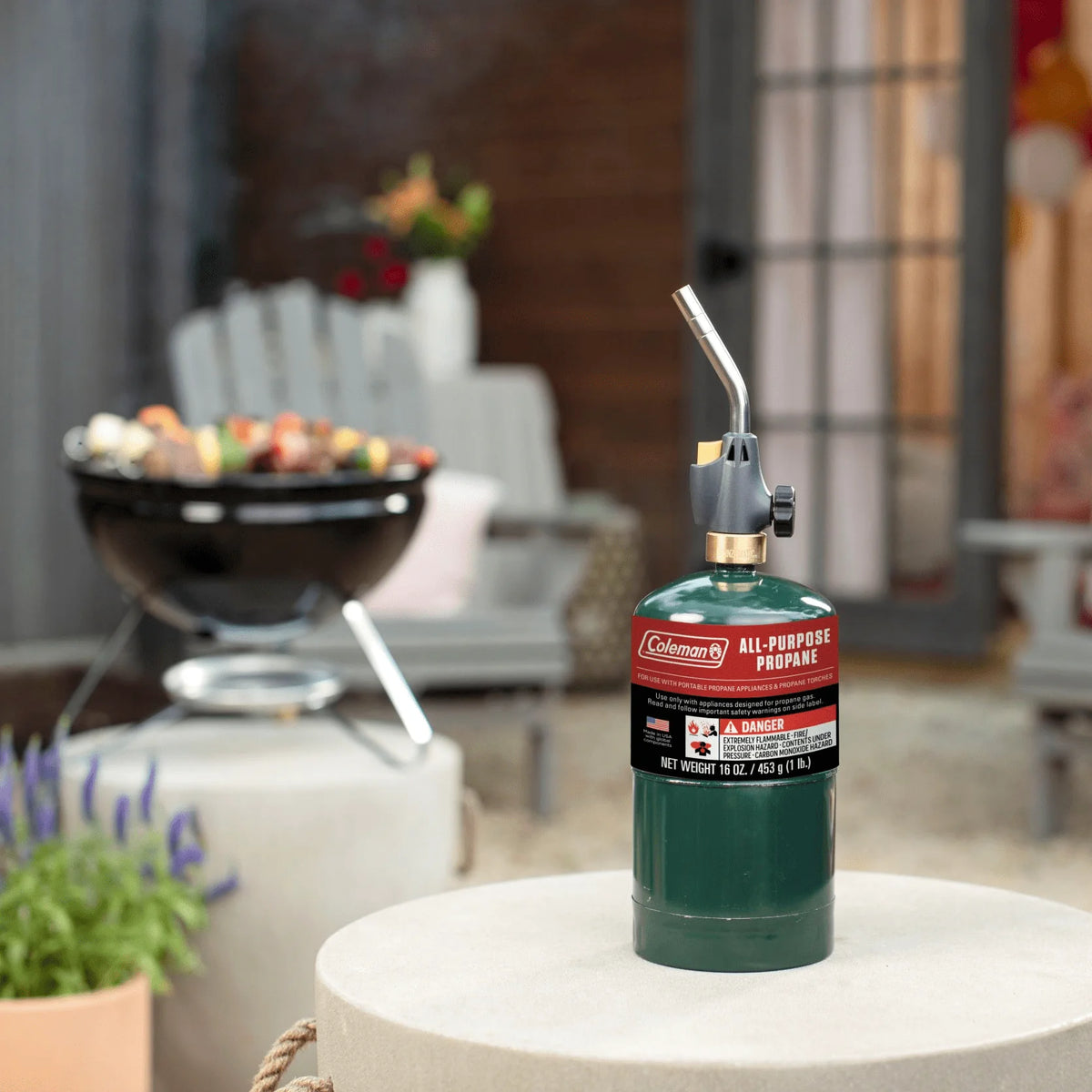 16 ounce 2-Pack Propane Gas Cylinder R50278